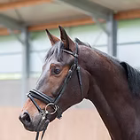 Salazar