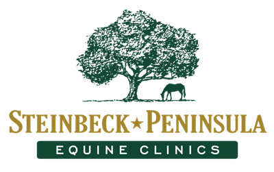 Steinbeck Peninsula logo